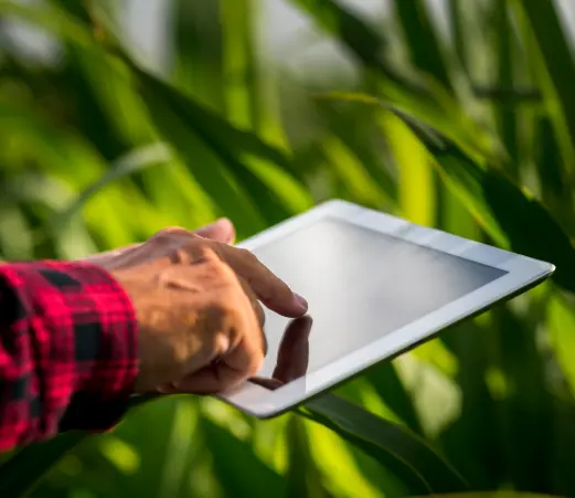 Digitalização de certificados e Dados operacionais do Agro - Arquivar